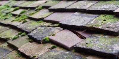 Capel Isaac roof repair costs